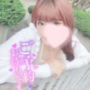 ヒメ日記 2025/09/16 17:50 投稿 ソラ いたずらバニーちゃん