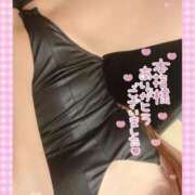 ヒメ日記 2025/10/07 16:10 投稿 ソラ いたずらバニーちゃん