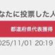 ヒメ日記 2025/11/02 09:32 投稿 ソラ いたずらバニーちゃん