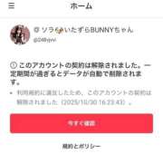 ヒメ日記 2025/11/02 13:50 投稿 ソラ いたずらバニーちゃん