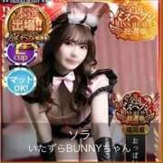 ヒメ日記 2025/11/12 12:50 投稿 ソラ いたずらバニーちゃん