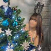 ヒメ日記 2025/11/27 11:20 投稿 ソラ いたずらバニーちゃん