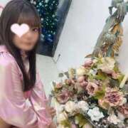 ヒメ日記 2025/11/28 10:20 投稿 ソラ いたずらバニーちゃん