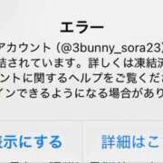 ヒメ日記 2025/12/01 10:20 投稿 ソラ いたずらバニーちゃん