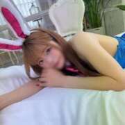 ヒメ日記 2025/12/06 11:00 投稿 ソラ いたずらバニーちゃん