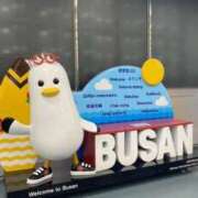 ヒメ日記 2025/12/11 11:20 投稿 ソラ いたずらバニーちゃん