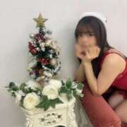 ヒメ日記 2025/12/25 10:20 投稿 ソラ いたずらバニーちゃん