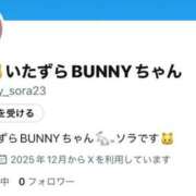 ヒメ日記 2025/12/25 17:20 投稿 ソラ いたずらバニーちゃん