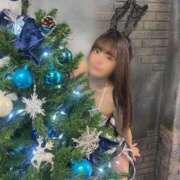 ヒメ日記 2025/12/30 09:50 投稿 ソラ いたずらバニーちゃん