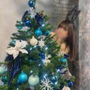 ヒメ日記 2026/02/01 17:20 投稿 ソラ いたずらバニーちゃん