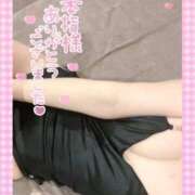 ヒメ日記 2026/02/08 10:37 投稿 ソラ いたずらバニーちゃん