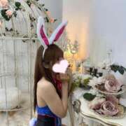 ヒメ日記 2026/02/13 15:20 投稿 ソラ いたずらバニーちゃん