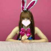 ヒメ日記 2026/02/19 22:20 投稿 ソラ いたずらバニーちゃん