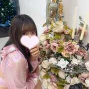 ヒメ日記 2026/02/20 10:40 投稿 ソラ いたずらバニーちゃん