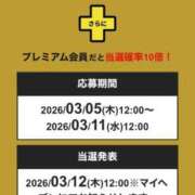 ヒメ日記 2026/03/08 11:19 投稿 ソラ いたずらバニーちゃん