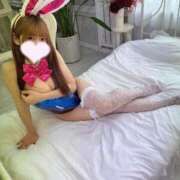 ヒメ日記 2026/03/20 23:10 投稿 ソラ いたずらバニーちゃん