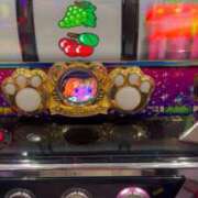 ヒメ日記 2026/05/14 22:12 投稿 ソラ いたずらバニーちゃん