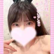 ヒメ日記 2026/06/04 13:50 投稿 ソラ いたずらバニーちゃん