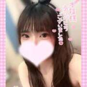 ヒメ日記 2026/06/07 16:20 投稿 ソラ いたずらバニーちゃん