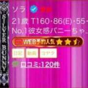 ヒメ日記 2026/06/08 14:50 投稿 ソラ いたずらバニーちゃん