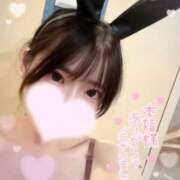ヒメ日記 2026/08/15 16:00 投稿 ソラ いたずらバニーちゃん