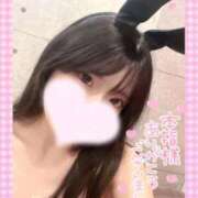 ヒメ日記 2026/09/08 13:31 投稿 ソラ いたずらバニーちゃん