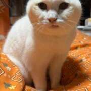 ヒメ日記 2025/06/03 19:37 投稿 きょうか ミスミセス