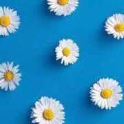 ヒメ日記 2025/07/23 09:47 投稿 きょうか ミスミセス