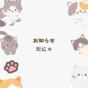 ヒメ日記 2025/08/15 07:27 投稿 きょうか ミスミセス