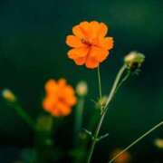 ヒメ日記 2025/10/01 09:37 投稿 きょうか ミスミセス