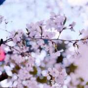 ヒメ日記 2025/04/08 07:43 投稿 ことな 熟女家 豊中蛍池店