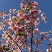 ヒメ日記 2025/03/17 19:45 投稿 まな 神田ハンドメイド