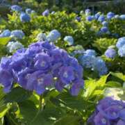 ヒメ日記 2025/05/29 08:02 投稿 まな 神田ハンドメイド