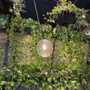 ヒメ日記 2025/08/13 20:14 投稿 まな 神田ハンドメイド