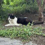 ヒメ日記 2025/08/29 22:58 投稿 まな 神田ハンドメイド