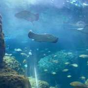 ヒメ日記 2025/09/04 12:55 投稿 まな 神田ハンドメイド