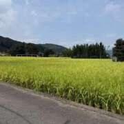 ヒメ日記 2025/09/14 19:47 投稿 まな 神田ハンドメイド