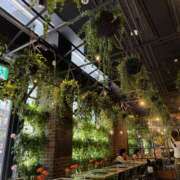 ヒメ日記 2025/11/23 14:31 投稿 まな 神田ハンドメイド