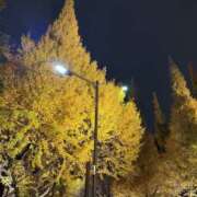 ヒメ日記 2025/11/29 19:10 投稿 まな 神田ハンドメイド