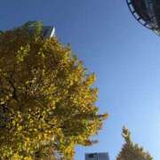 ヒメ日記 2025/12/08 22:12 投稿 まな 神田ハンドメイド