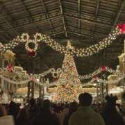 ヒメ日記 2025/12/09 19:39 投稿 まな 神田ハンドメイド