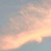 ヒメ日記 2026/01/11 13:55 投稿 まな 神田ハンドメイド