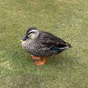 ヒメ日記 2026/03/07 09:50 投稿 まな 神田ハンドメイド