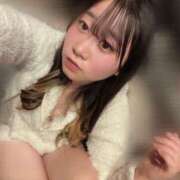 ヒメ日記 2025/04/01 15:27 投稿 みなみ ベイビーモコ