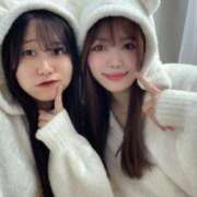 ヒメ日記 2025/04/03 16:48 投稿 みなみ ベイビーモコ