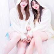 ヒメ日記 2025/04/23 11:27 投稿 みなみ ベイビーモコ