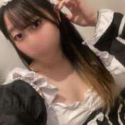 ヒメ日記 2025/06/06 13:35 投稿 みなみ ベイビーモコ