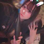 ヒメ日記 2025/07/16 11:46 投稿 みなみ ベイビーモコ