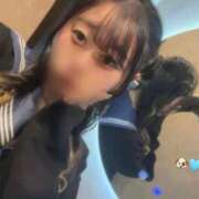 ヒメ日記 2025/07/24 16:22 投稿 みなみ ベイビーモコ