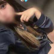 ヒメ日記 2025/07/31 12:56 投稿 みなみ ベイビーモコ